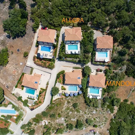 Allegra * Tzamarelata