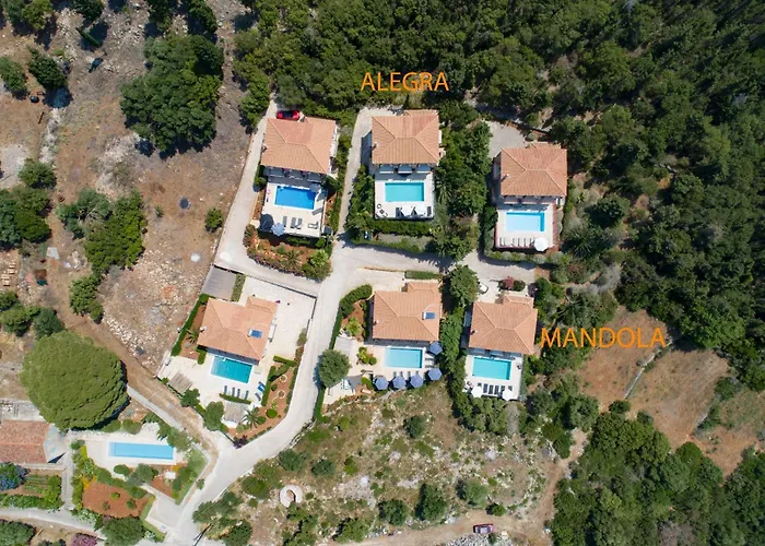 Allegra * Tzamarelata